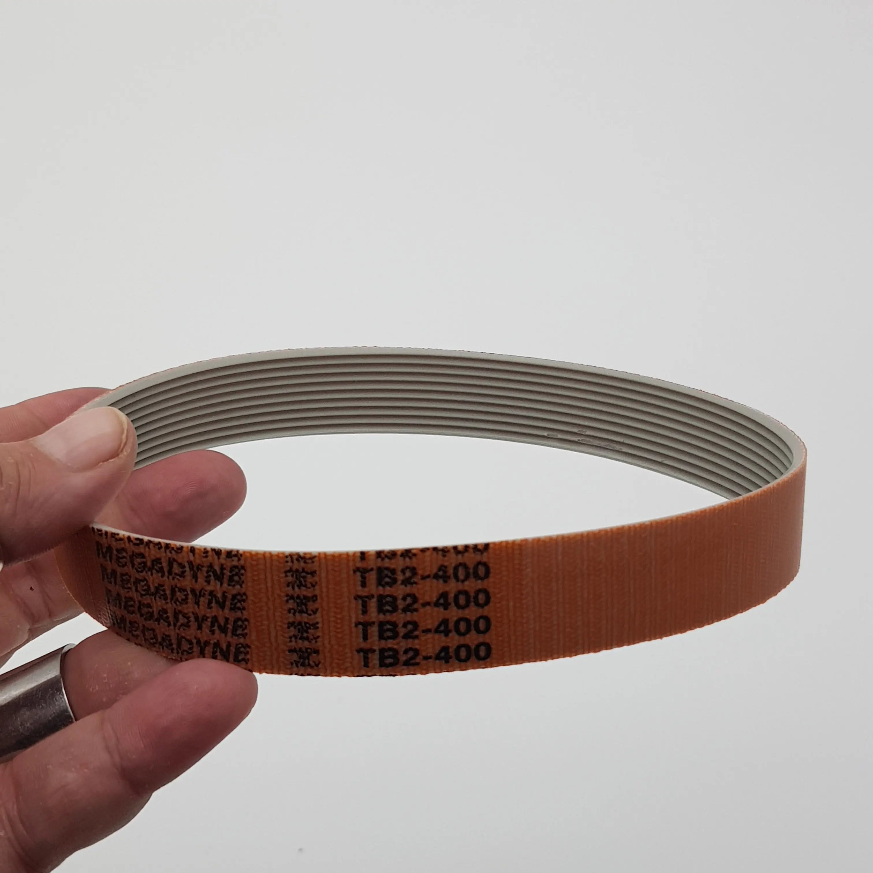 Cinghia sviluppo tb2 400 mm 10 gole affettatrice RGV mod. 300 RGV