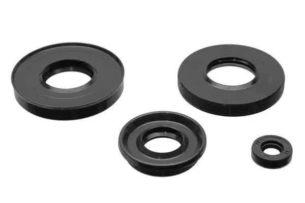 Anello tenuta 25X47X8 113CY08 UNIVERSALE