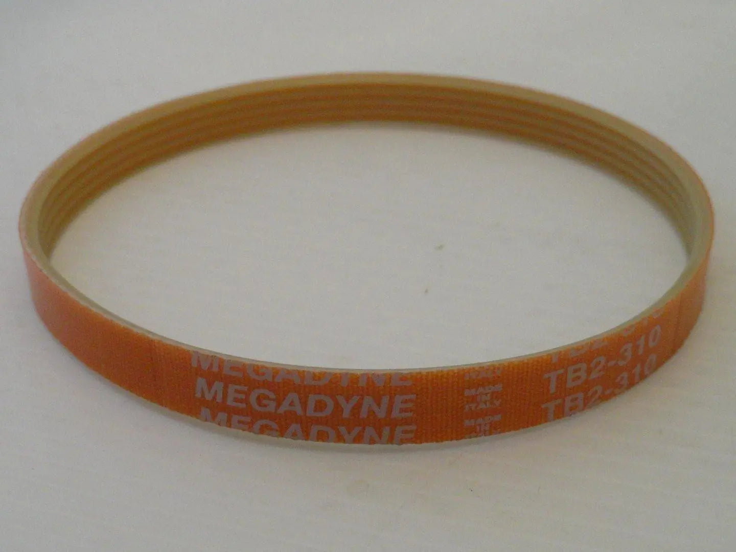 cinghia sviluppo tb2 310 mm 5 gole affettatrice rgv mod. 195 -22gs (solo per 195) RGV